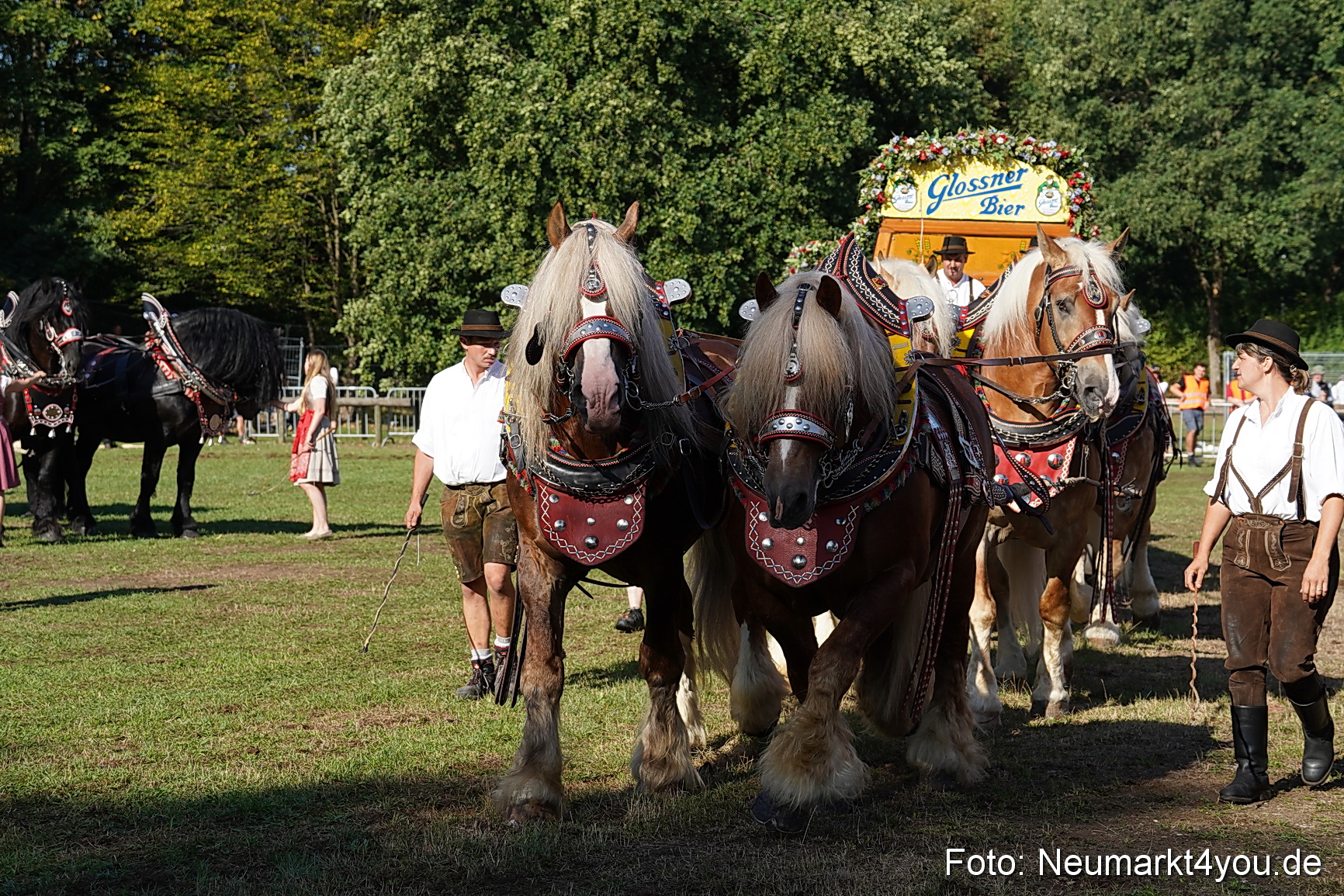 Pferde und Fohlenschau 2022 0043 